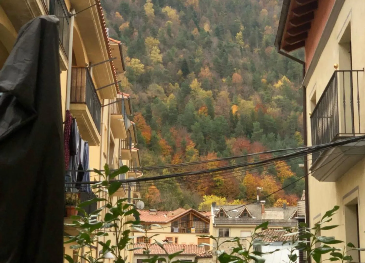 Maison Biscuit. Apartament A La Placa De La Vila Camprodon